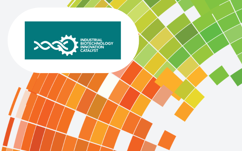 IBIC Innovation Lab: Animal Free in vitro Models for Tox Testing