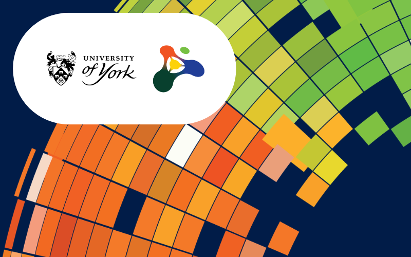 York Imaging Day