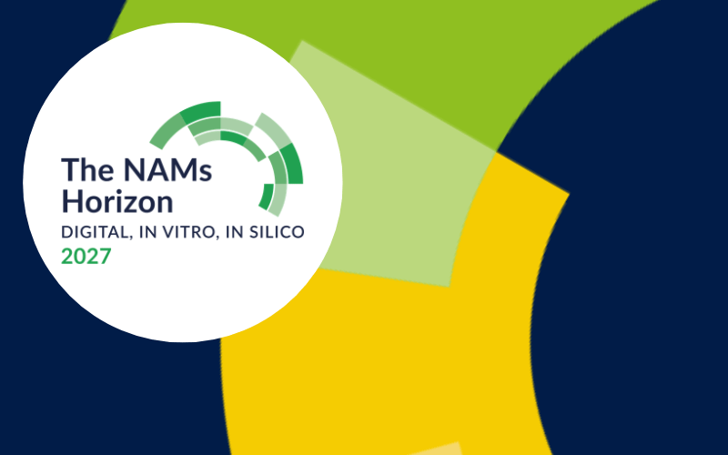 The NAMs Horizon: Digital, In Vitro, In Silico 2027